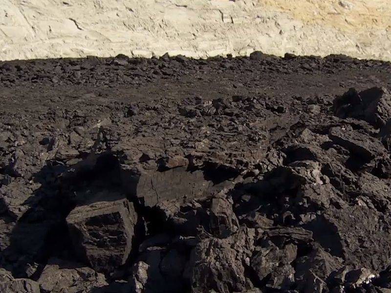 THE ROLE OF COAL